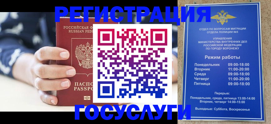 прописка поиск в Ростове-на-Дону